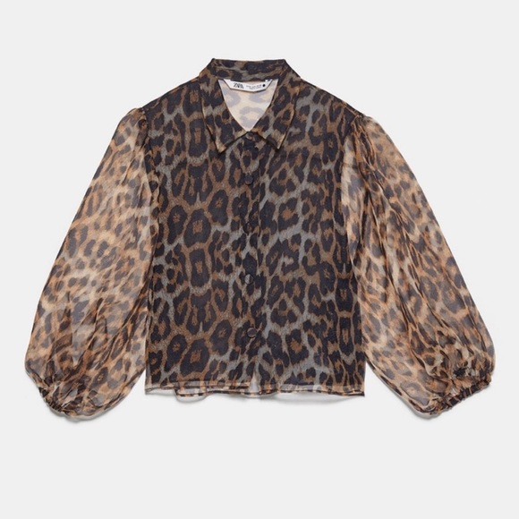 Zara Tops Zara Leopard Animal Print Organza Blouse Poshmark